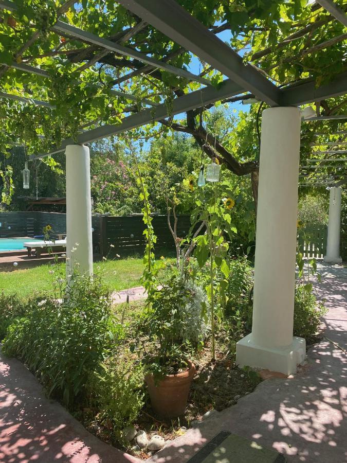 Oliveyard Stone Built House- With Pool Non Chlorin Villa