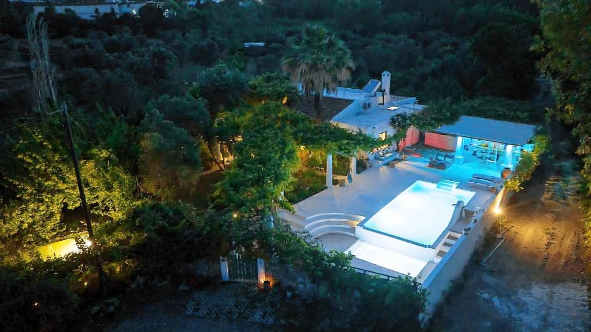 Oliveyard Stone Built House- With Pool Non Chlorin Villa