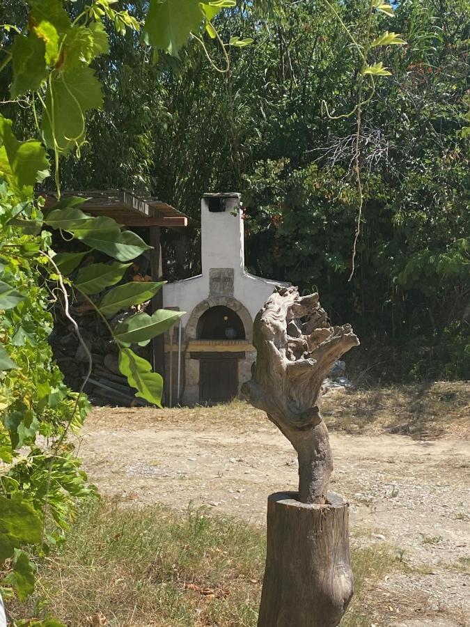 Villa Oliveyard Stone Built House- With Pool Non Chlorin