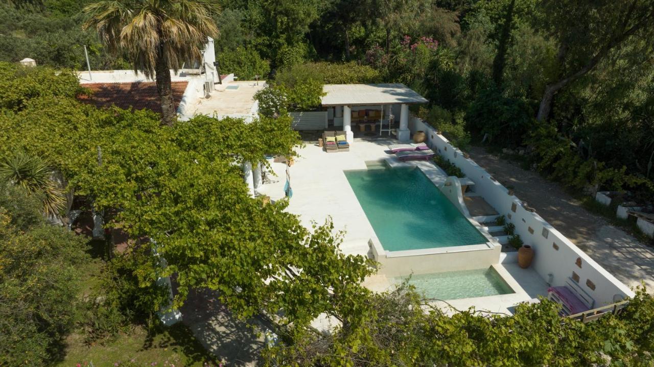 Oliveyard Stone Built House- With Pool Non Chlorin Villa *